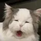 外星土豆人