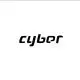王赛博Cyber