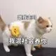 困于旅游的星海