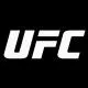 UFC终极格斗冠军赛
